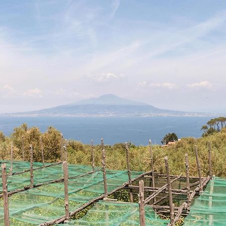 Villa La Limonaia ซอร์เรนโต ภายนอก รูปภาพ